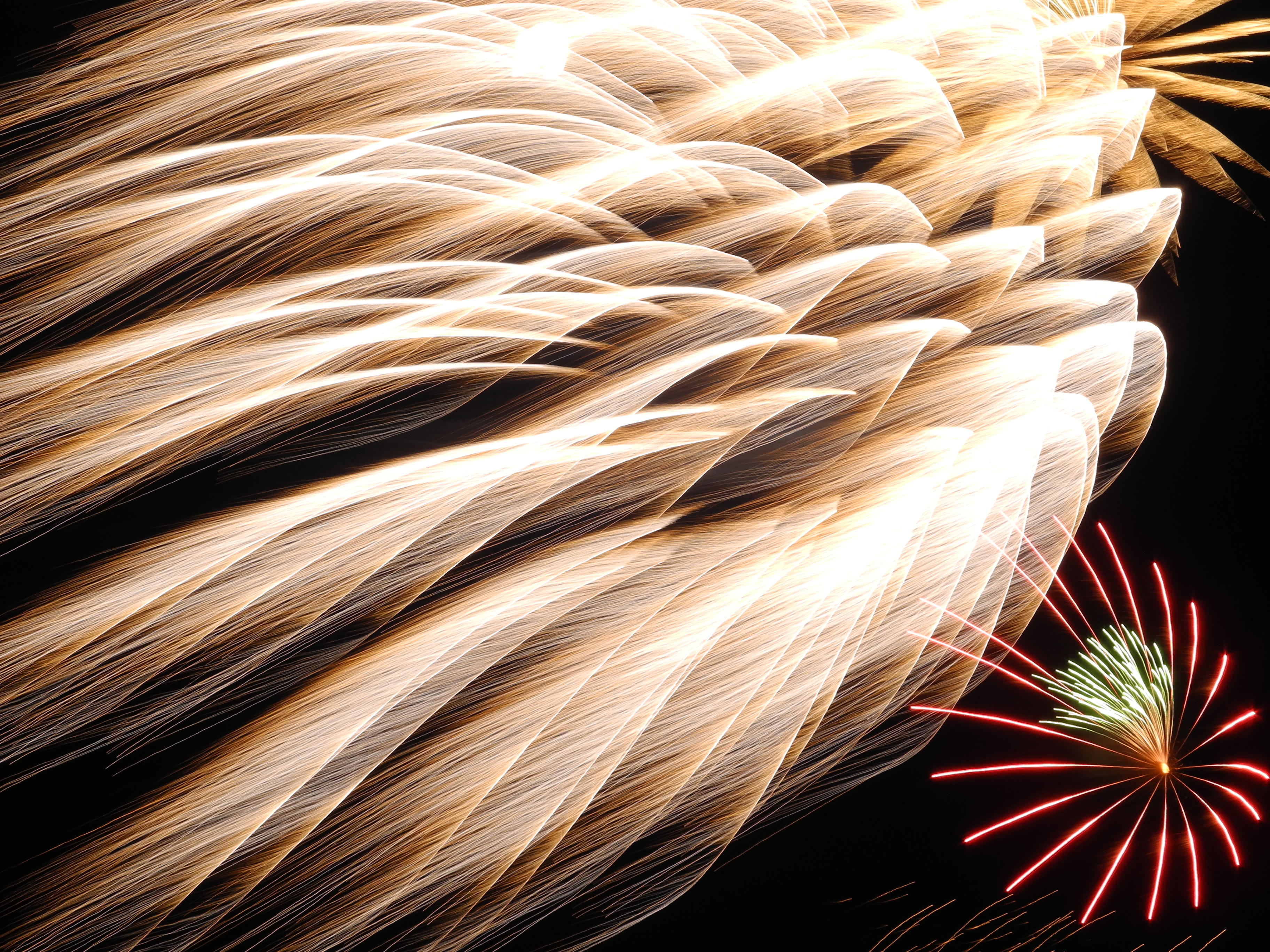 4th of July Fireworks